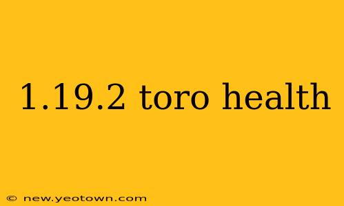 1.19.2 toro health