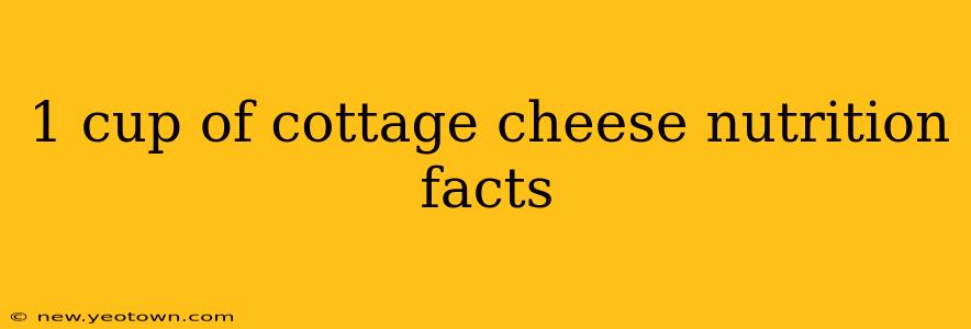 1 cup of cottage cheese nutrition facts