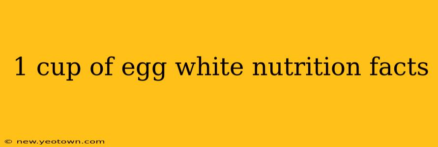 1 cup of egg white nutrition facts