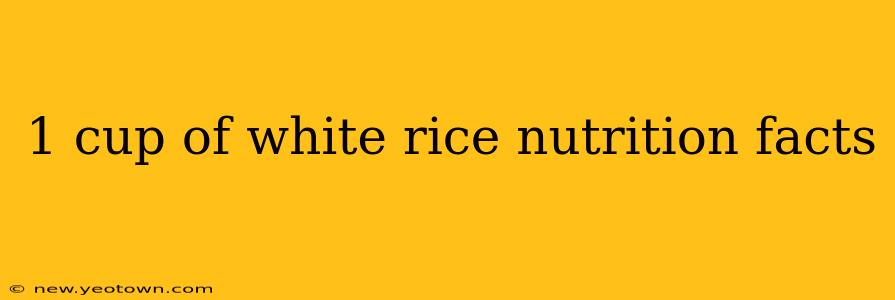 1 cup of white rice nutrition facts