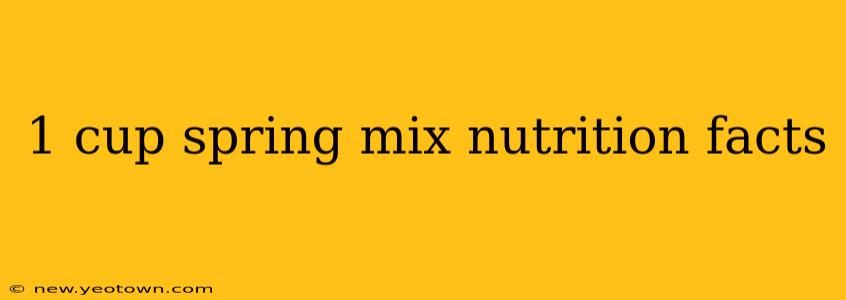 1 cup spring mix nutrition facts