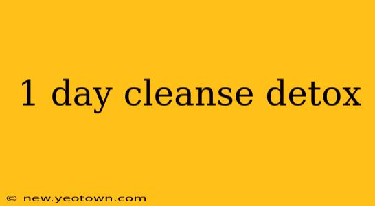 1 day cleanse detox