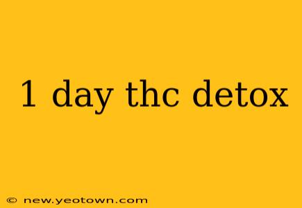 1 day thc detox