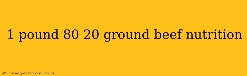 1 pound 80 20 ground beef nutrition