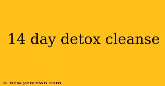 14 day detox cleanse
