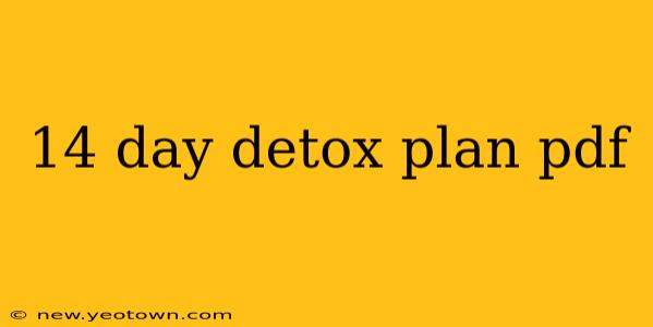 14 day detox plan pdf