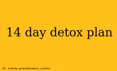 14 day detox plan
