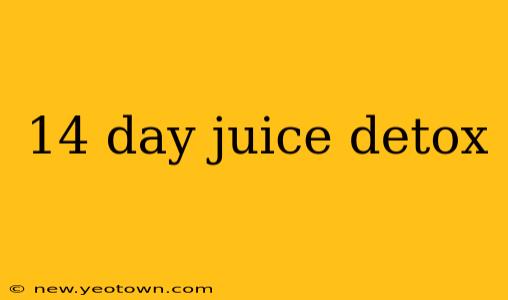 14 day juice detox