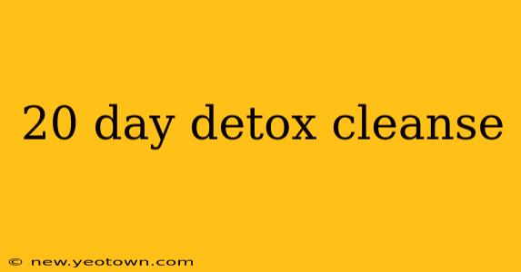 20 day detox cleanse
