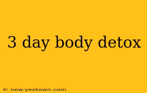 3 day body detox