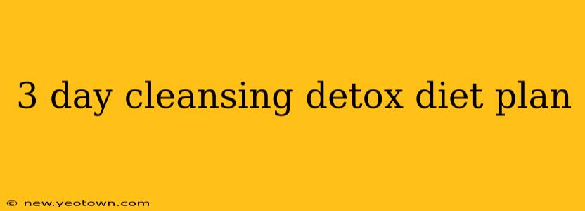 3 day cleansing detox diet plan