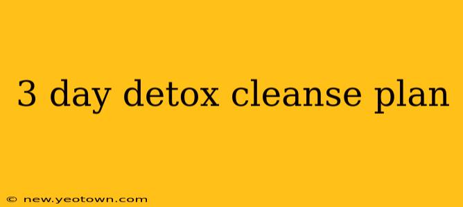 3 day detox cleanse plan