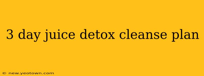 3 day juice detox cleanse plan