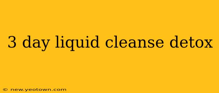 3 day liquid cleanse detox