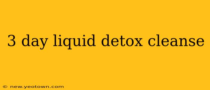 3 day liquid detox cleanse
