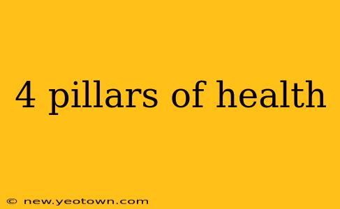 4 pillars of health
