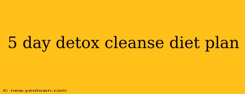 5 day detox cleanse diet plan