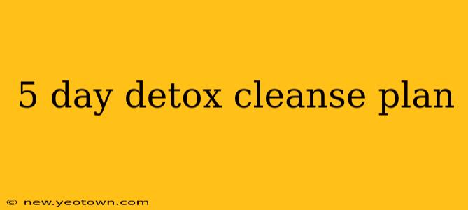 5 day detox cleanse plan