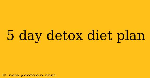 5 day detox diet plan