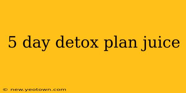 5 day detox plan juice