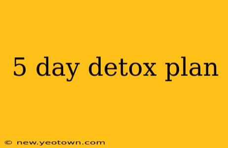 5 day detox plan