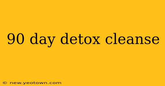 90 day detox cleanse