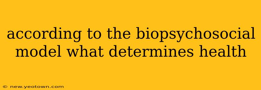 according to the biopsychosocial model what determines health