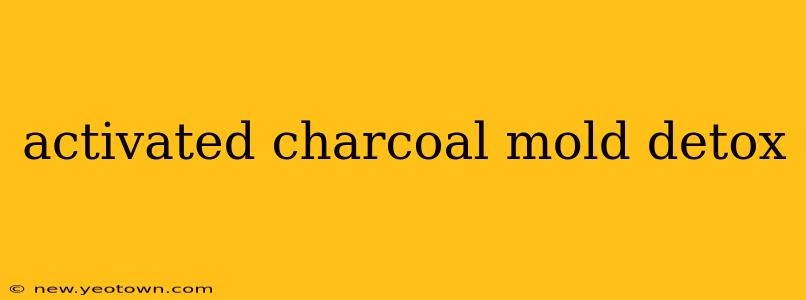 activated charcoal mold detox