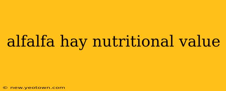 alfalfa hay nutritional value
