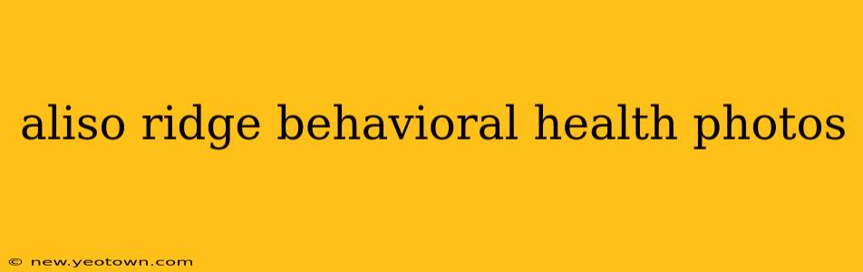aliso ridge behavioral health photos