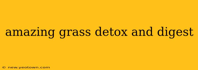 amazing grass detox and digest