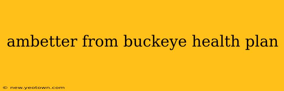 ambetter from buckeye health plan