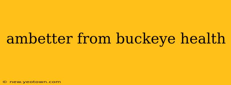 ambetter from buckeye health
