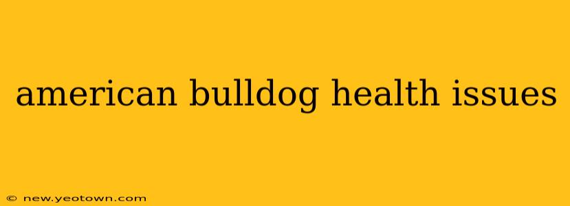 american bulldog health issues