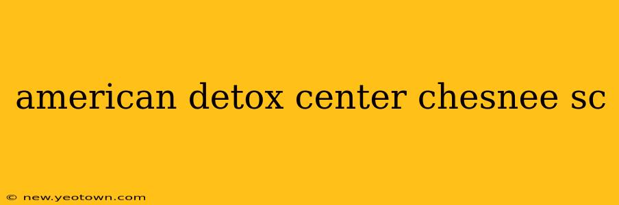 american detox center chesnee sc