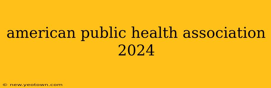 american public health association 2024