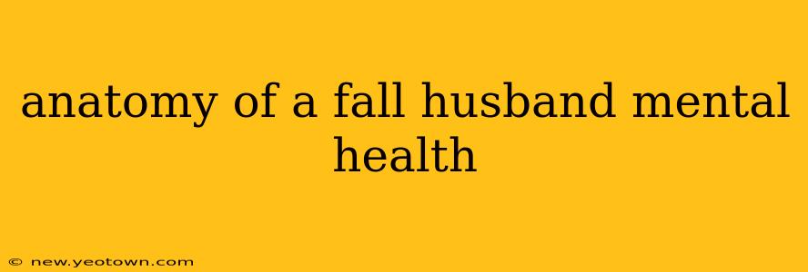 anatomy of a fall husband mental health
