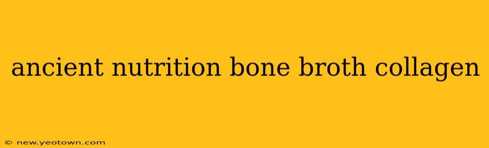 ancient nutrition bone broth collagen
