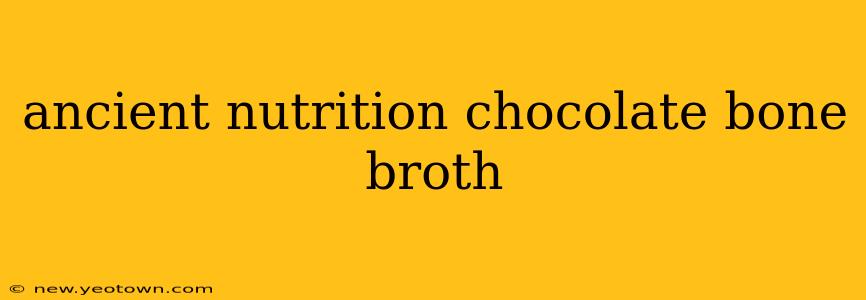 ancient nutrition chocolate bone broth