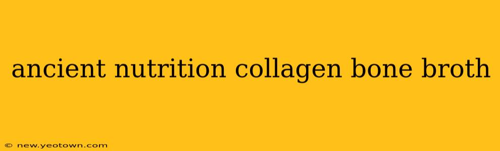 ancient nutrition collagen bone broth