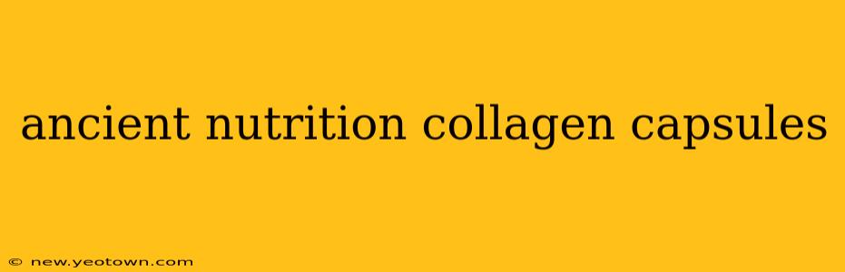 ancient nutrition collagen capsules