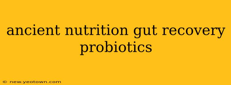 ancient nutrition gut recovery probiotics