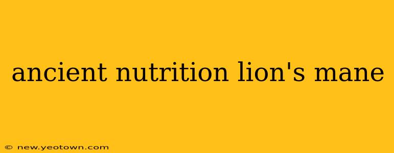 ancient nutrition lion's mane