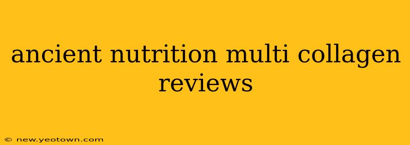ancient nutrition multi collagen reviews