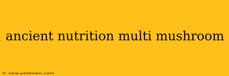 ancient nutrition multi mushroom