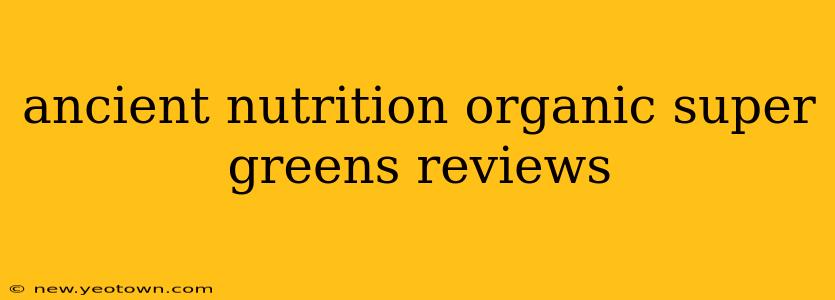 ancient nutrition organic super greens reviews