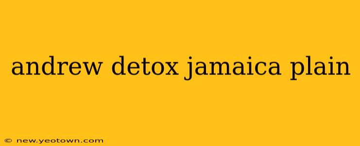 andrew detox jamaica plain