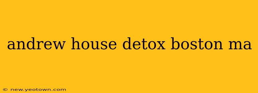 andrew house detox boston ma