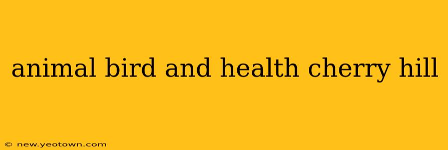 animal bird and health cherry hill