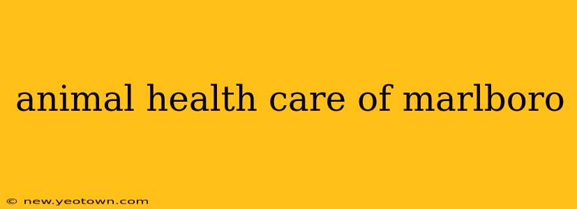 animal health care of marlboro